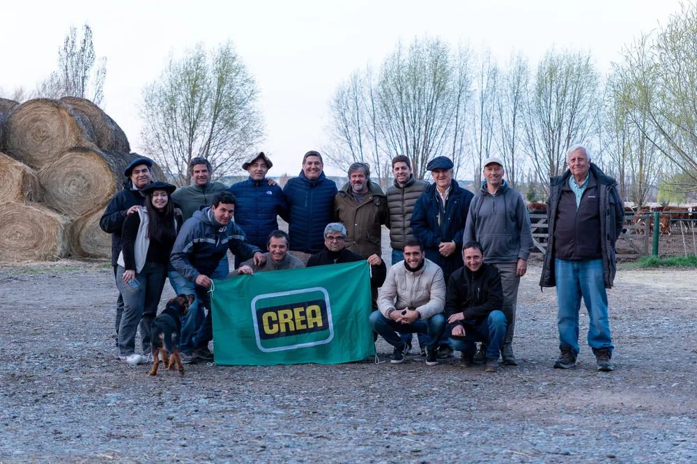 grupo crea